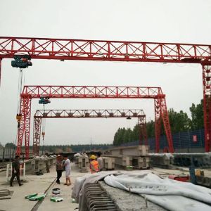 花架龍門吊起重機(jī)