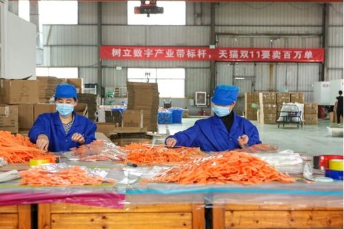 天貓雙11開門紅 產業帶廠貨成交額同比激增1700%，餐飲服務迎來消費新熱潮